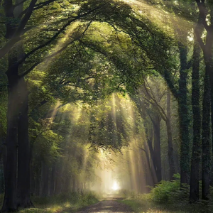 国产高清视频青青青在线
